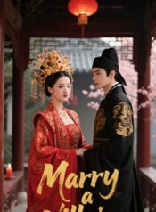 My easy Novel (5)
