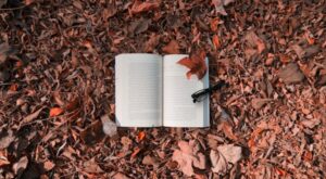 Photo by Sibel Yıldırım